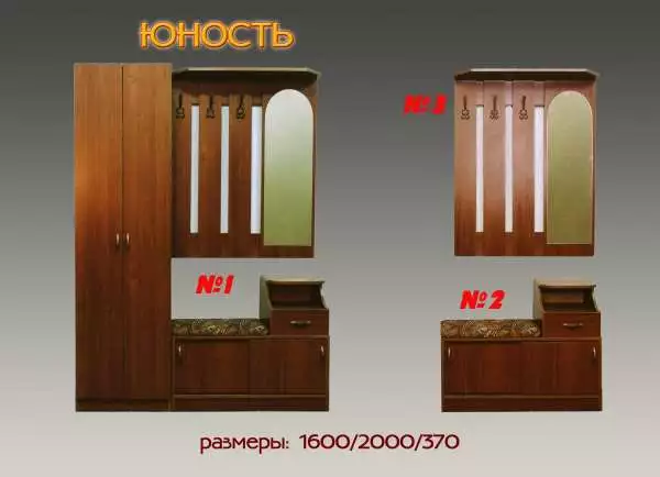 Прихожая  Юность со шкафом