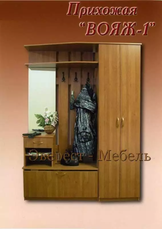 Прихожая Вояж-1