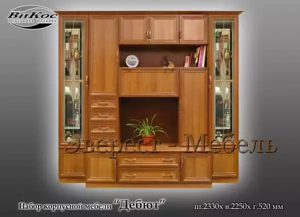 Стенка "Дебют-1"