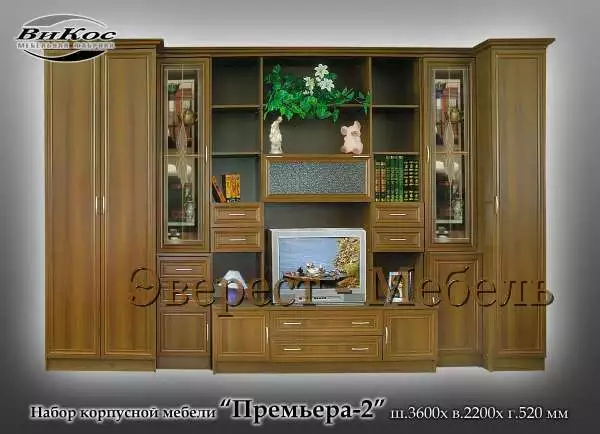 Стенка "Премьера-2"